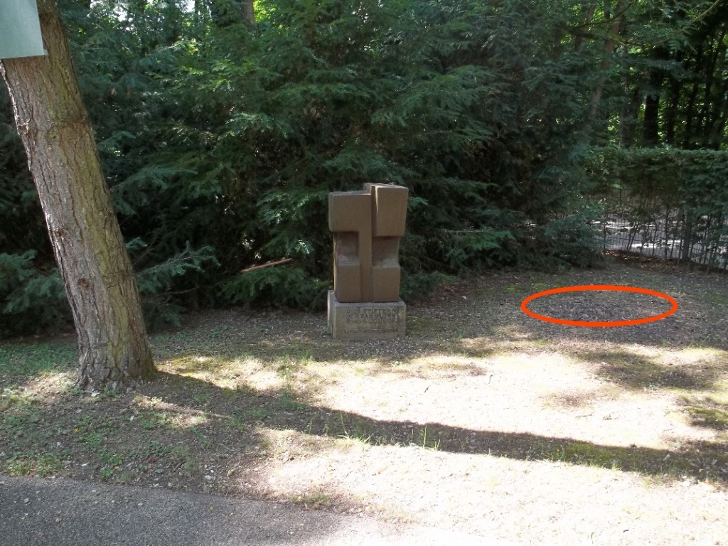 Stifterstein Schwarzkiefer